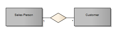 A Conceptual data model that uses Entity-Relationship notation